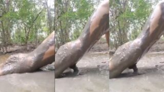 Cewek Seksi Digebukin Kontol Gede Di Kubangan Lumpur, Video Xxx Bikin Makin Pengen Ngewe Terus.