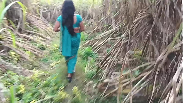 Ngentot Habis-habisan Istri Orang Di Kebun Tebu, Durasi Panjang, Penuh Nafsu Liar.