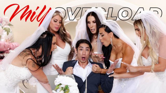 Ngentot Mampus, Pengantin Baru Sampe Overload, Sampai Minta Ampun!